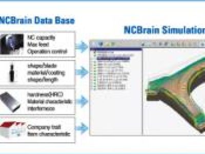 NCbrain